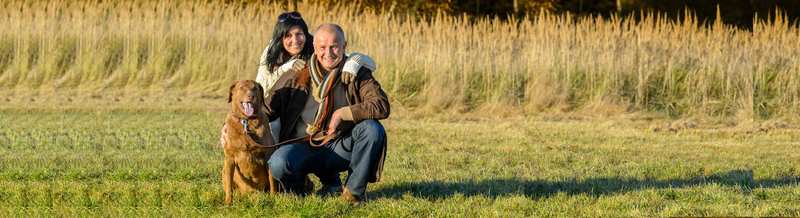 Photo of couple dating